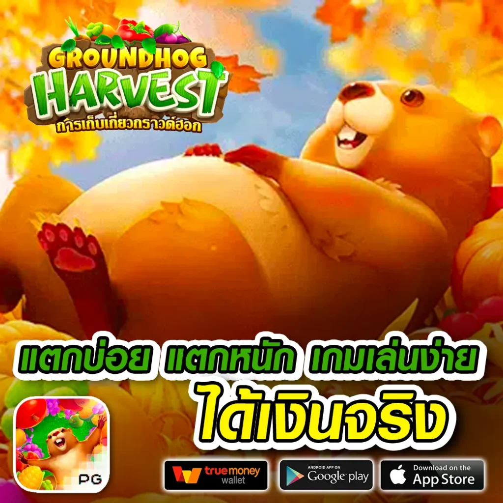 moodeng 888